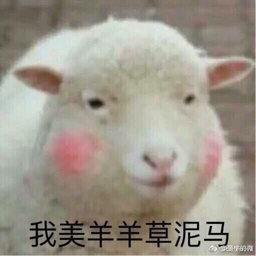 君色倾城