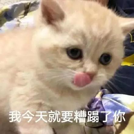 亲戚拜年直接掀被子心态崩了...