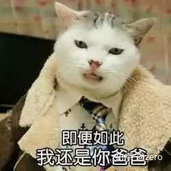 还记得你家猫洗澡时绝望的眼神吗看看别人家的,玩的是冲浪啊