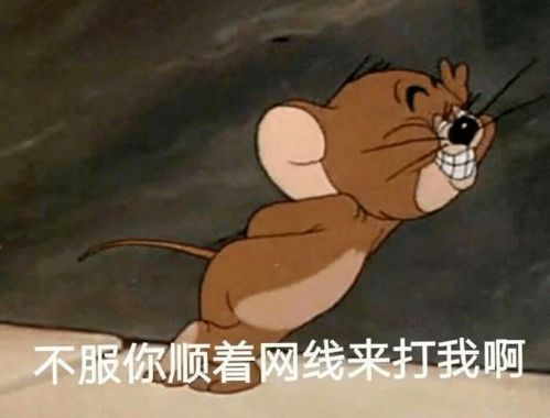 去银行写代码是什么样的体验