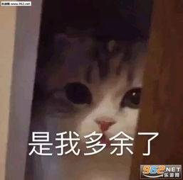 只要没人看见就是0卡路里表情包图片公主买醉表情包下载乐游网游戏下载