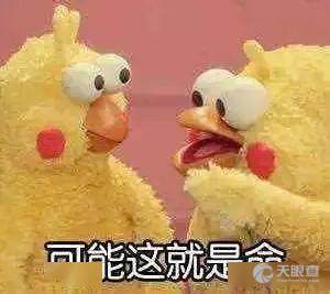 葫芦岛市中心医院怎么样地址天眼查