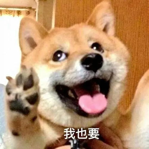斗图精选表情包在吗出来挨打