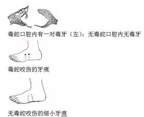 开心一刻丨五一出行健康有招
