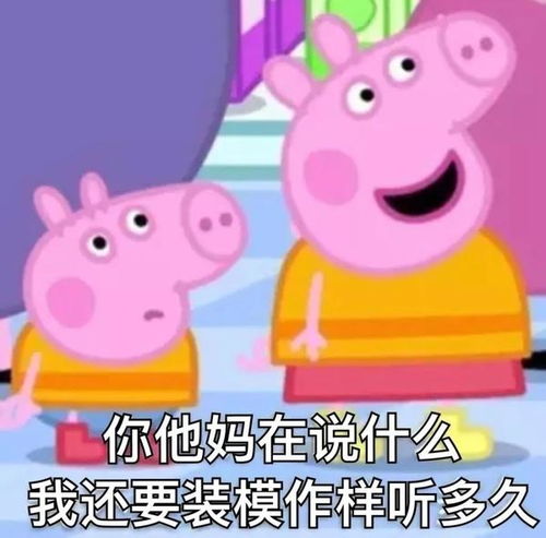 小懒猪起床了表情包表情包
