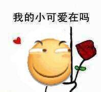 姐妹们有没有想安利的古言小说