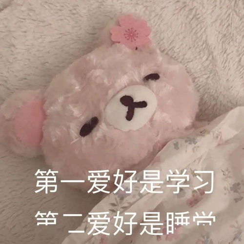热门表情包动图收藏起来吧