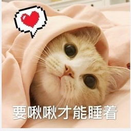 一组可爱的猫头像我要抱抱,哈哈哈