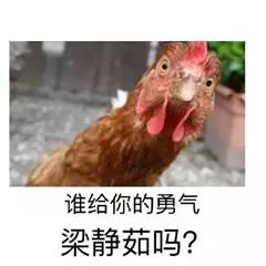 鸡年斗图必备不用这些鸡之表情包怎么好意思跟别人聊天