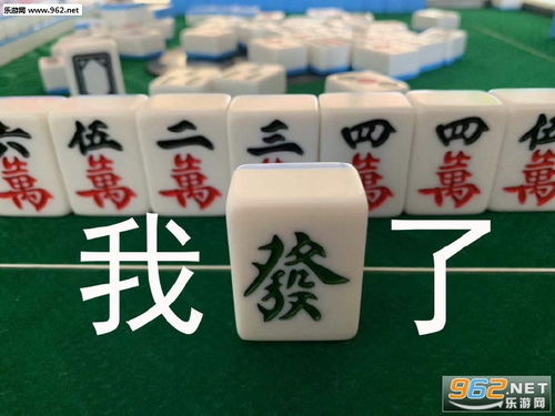 南上加南麻将图片表情包我的感情经历白板表情包下载乐游网游戏下载