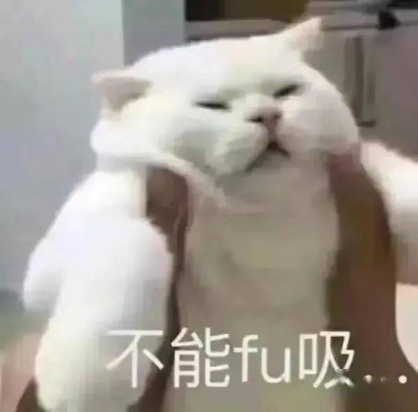不行不行的表情包骑墙