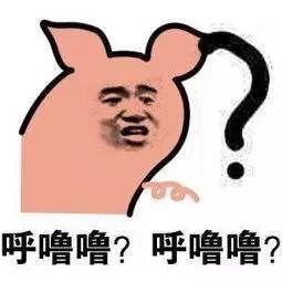 和沈梦辰一起换头的芒果台当家花旦恋上同性恋表哥曾插足张靓颖婚姻被黑社会围堵