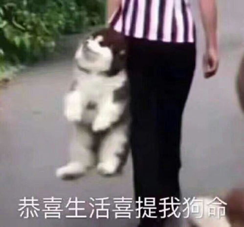 一片云的想法如果穿越成为虐文的女配该怎么办