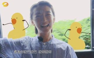 小黄鸭表情包周冬雨戴小黄