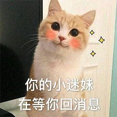 努力赚钱的狗子的相册表情包