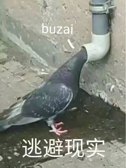 刘亦菲复胖又变壮,不了解体内这个激素,健身再努力都白搭
