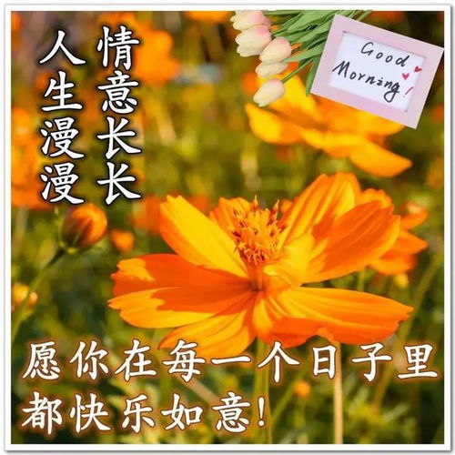最新周一早上好问候语表情包,一心一意送温暖,添衣祝福问早安
