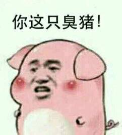求这样的猪斗图表情,越多越好