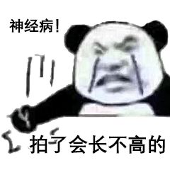 有什么微信拍一拍的高级小众文案推荐