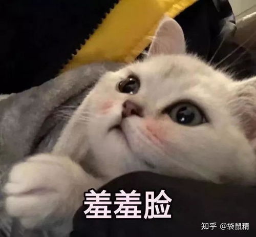央视记者王冰冰又火了终于知道男生为什么爱看新闻了...