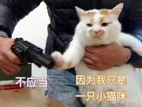 地包天正畸后改变有多大