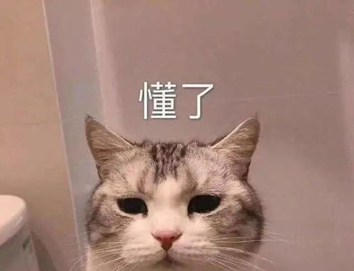 来,看看四川人干的好事