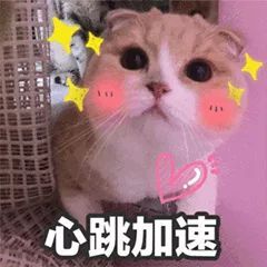红枫行动预告火热启动四个项目,文明新丰需要您的参与
