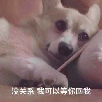 舔狗的最高境界是什么,这套表情包完全表达了我的心情,值得吗
