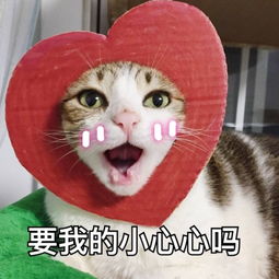 比个小心心表情包异瞳