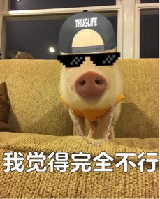 好的ok微信表情包