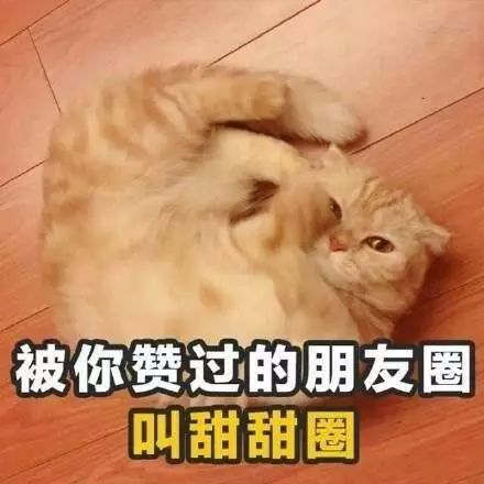 表情包表白土味情话