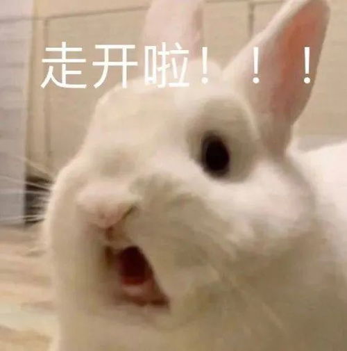 表情包这辈子只宠我一个好吗
