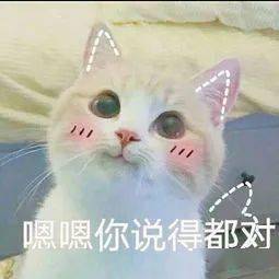 巴啦啦颜值up术,走你