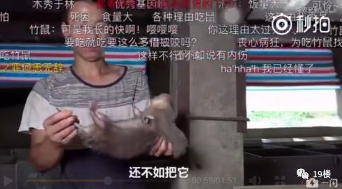 笑到泪奔,吃竹鼠的一百种理由可爱到想把你吃掉