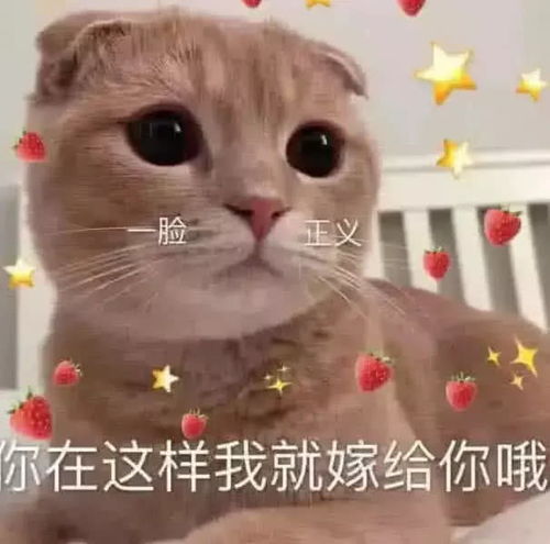 表情表情包在线等一个靓仔表情