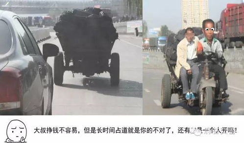 讲真,不遵守交通规则的人会变成表情包,不信你看