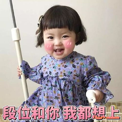 罗熙表情包高清版下载罗熙表情包gif动态图下载免费版最全当易网