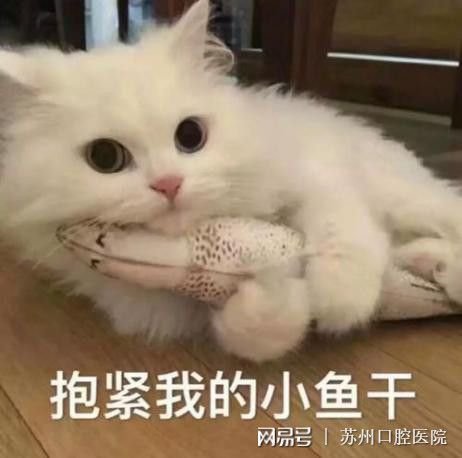 打败蛀牙近视人数两倍,它凭什么成为人人害怕的口腔第一疾病