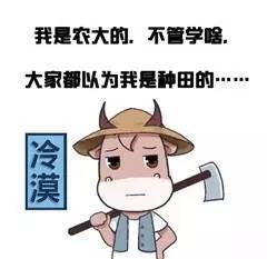 长沙5高校2017版表情包,出炉