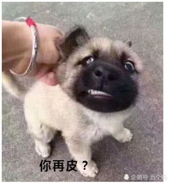 国服李白青莲剑仙