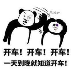 粉丝向zz1tai要腿毛当生日礼物,姿态这事挺肮脏的,给你两根吧