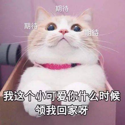 研小宝速递新一期服务工作反馈来啦