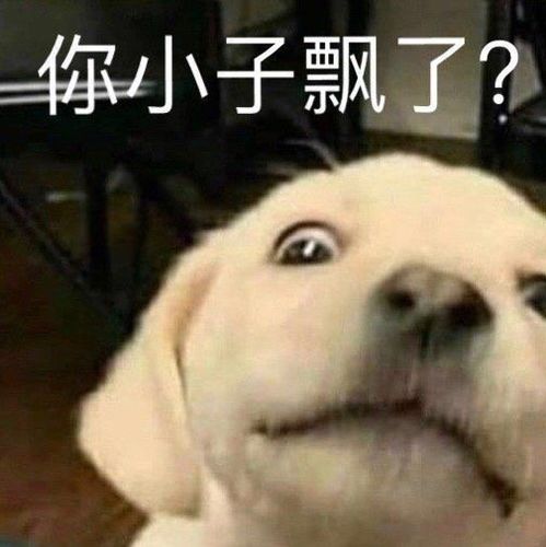 有哪些堪称有毒的沙雕朋友圈文案