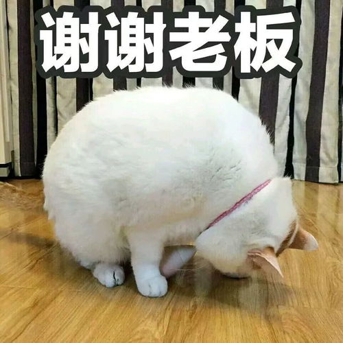 疫情过后第一次出门的你我就是这条街最靓的仔