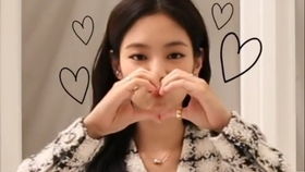 jennie表情包权志龙