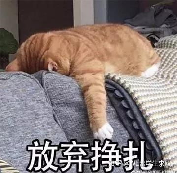 浪潮网上测评没通过腾讯线上面试开启,浪潮开始春招,留学生必看的2020互联网增长点......