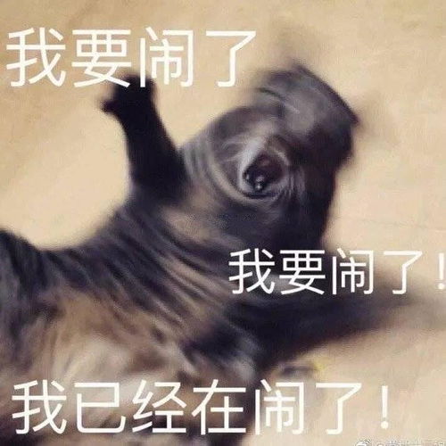 看看2020能不能脱单