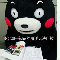 用了这些表情包,我可以瞬间把天聊死