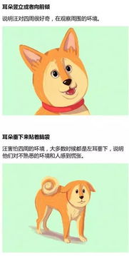 各种表情的含义和图解奇趣