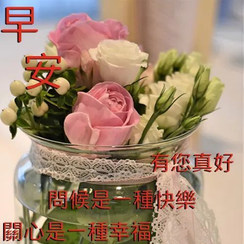 2021最新版大家早上好表情图片大全,超阳光的早安问候祝福语句子
